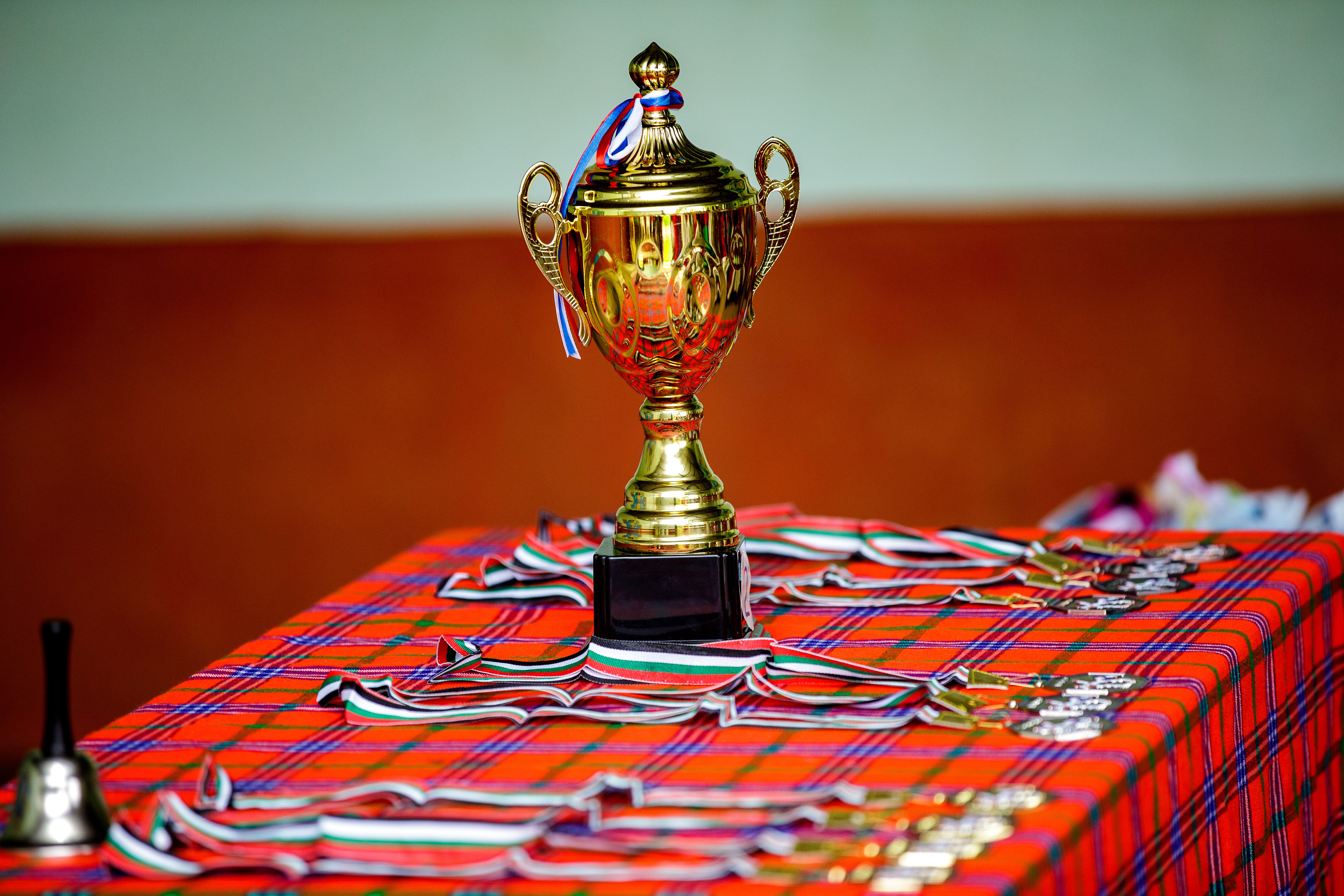 Metal Trophy Cup