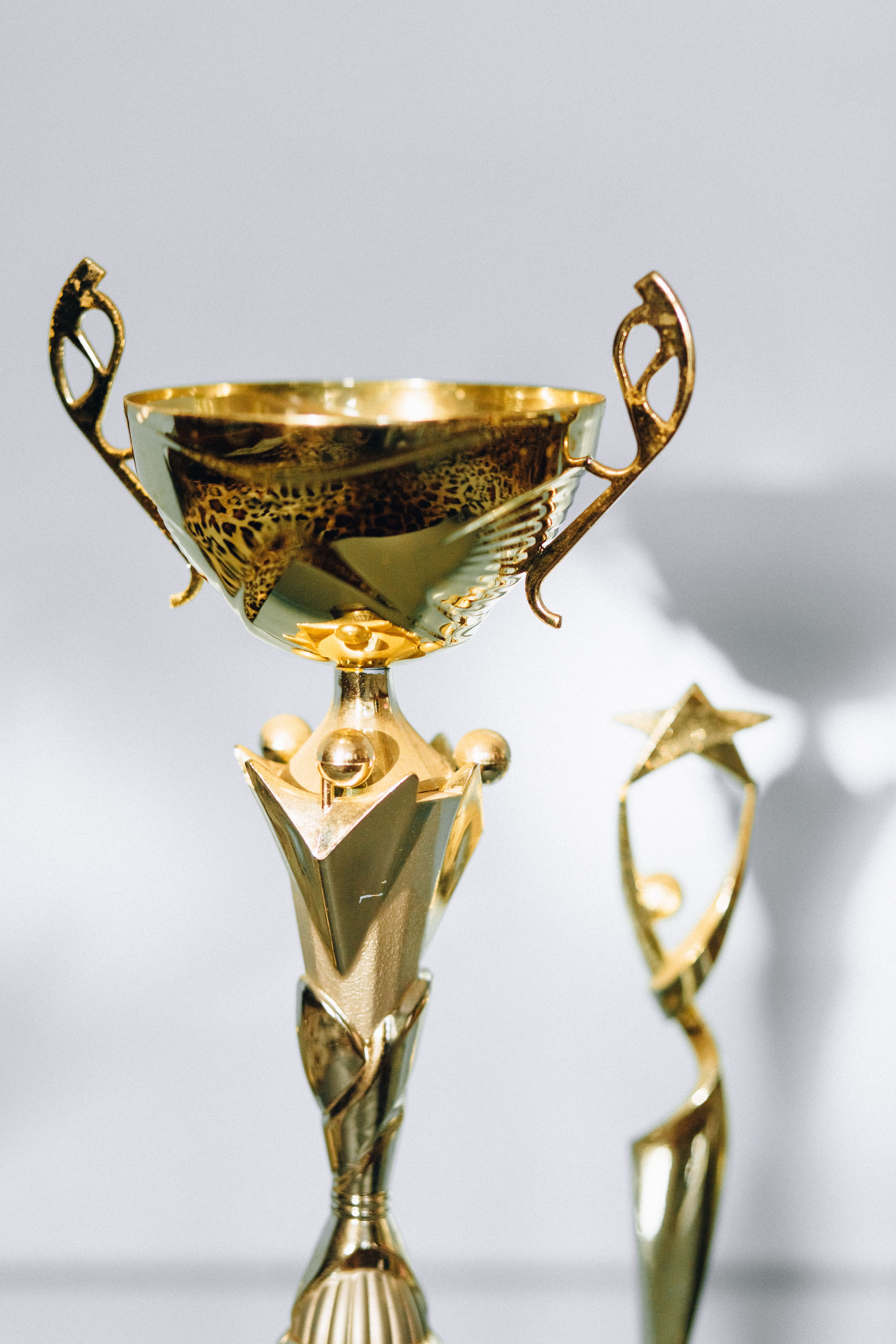 Crystal Trophy Award